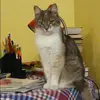 Отзыв от Оля Суханова